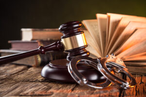 Criminal Litigation img