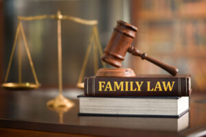 Family Law Litigation img